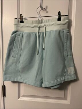 Air Jordan Flight Two Toned High Waist Standard Fit Shorts Small Mint